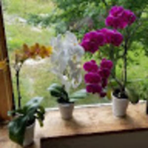 Meet your Posher, Diana